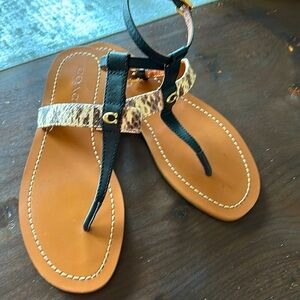 Coach T Strap Sandal